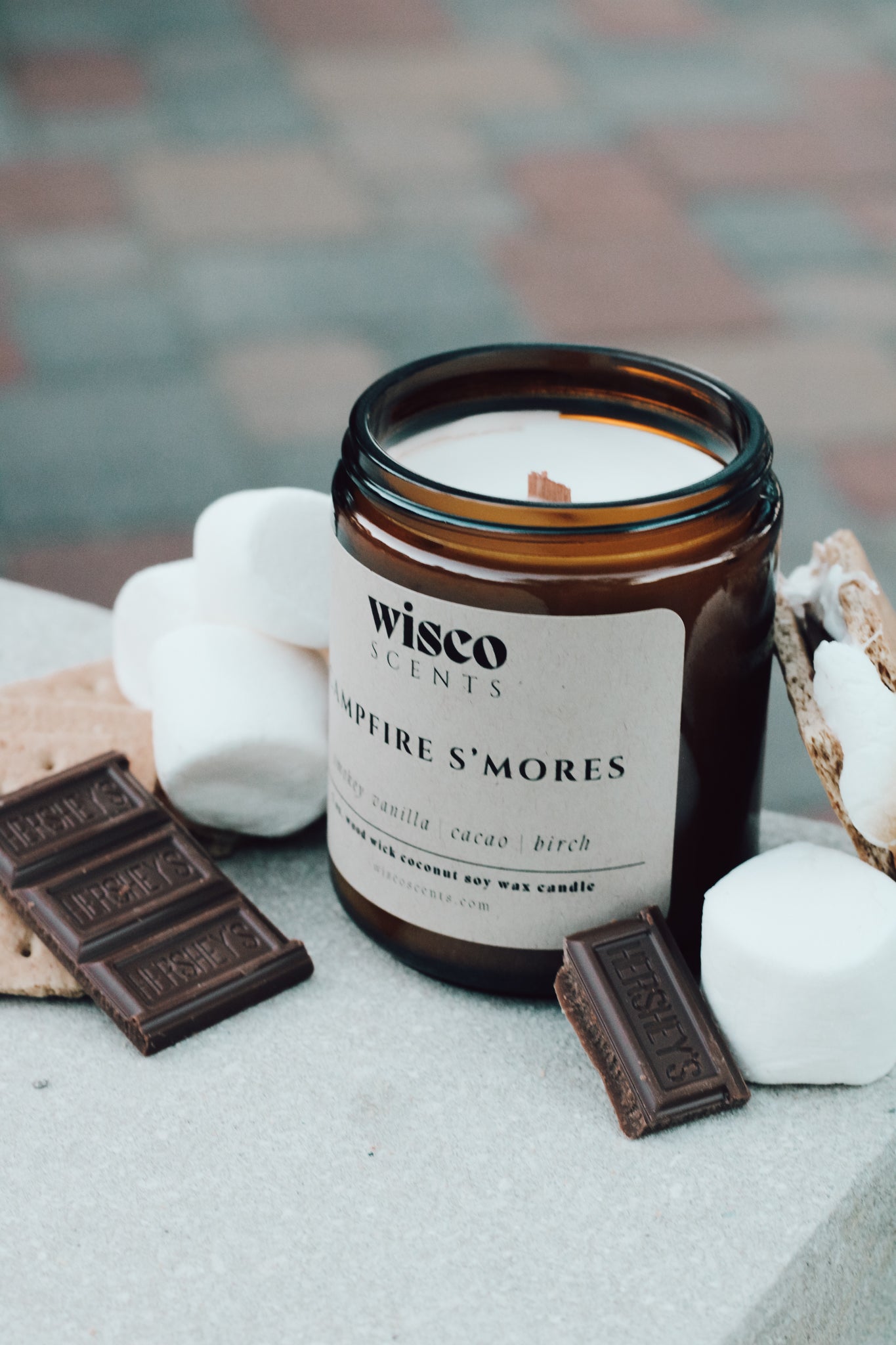 Campfire S'mores